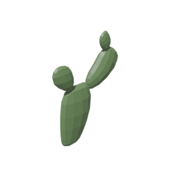 Cactus 5